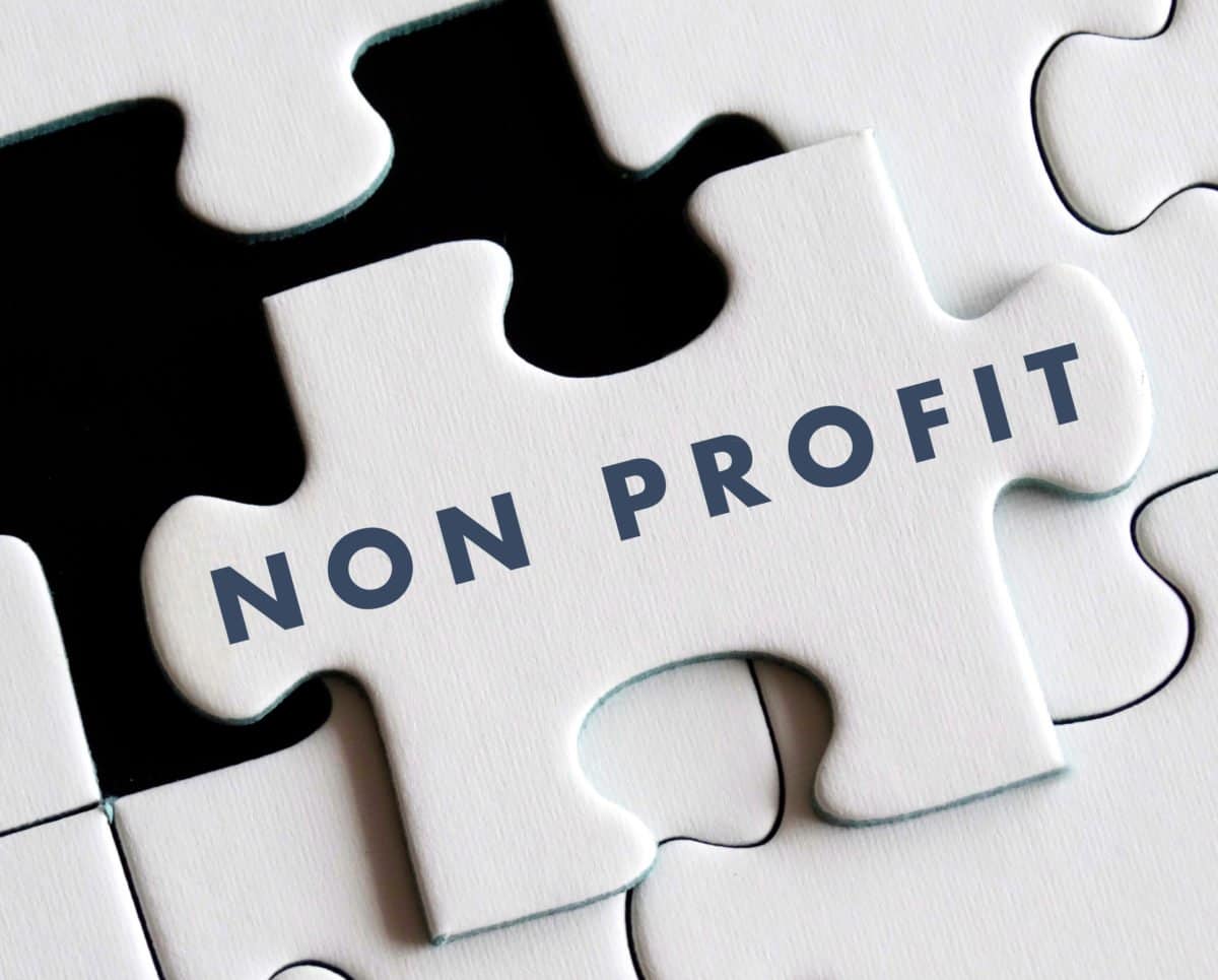 Puzzle Piece With Not For Profit Written On It - Corporate Governance Canada